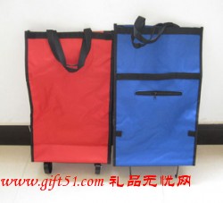 時(shí)尚購物拖輪包