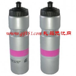 PE塑料運(yùn)動(dòng)水壺定制,PE水壺定做